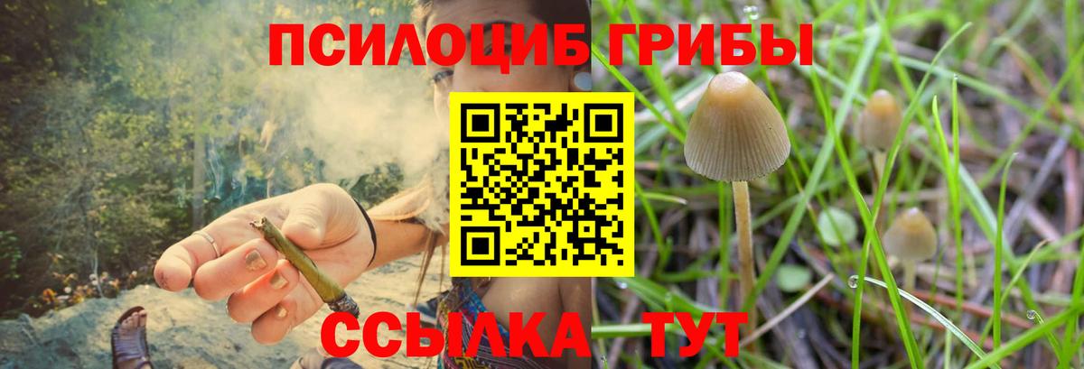 Галлюциногенные грибы Psilocybine cubensis  Галлюциногенные грибы мухоморы  Амурск  Вход с VPN 